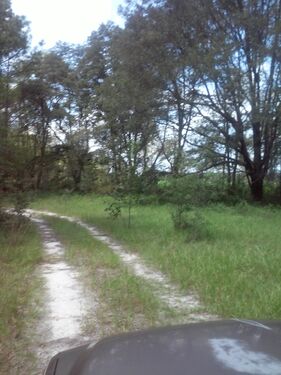 driveway inside property