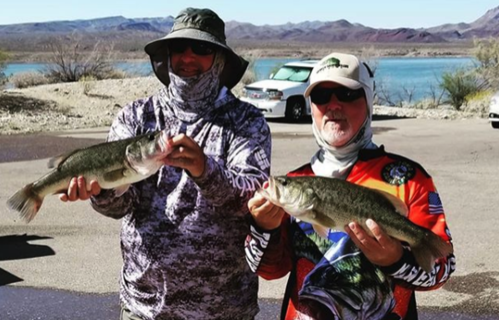 Alamo Lake State Park