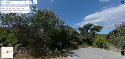 google view