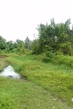 Mentawai, Sipora