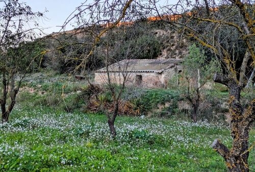 barn