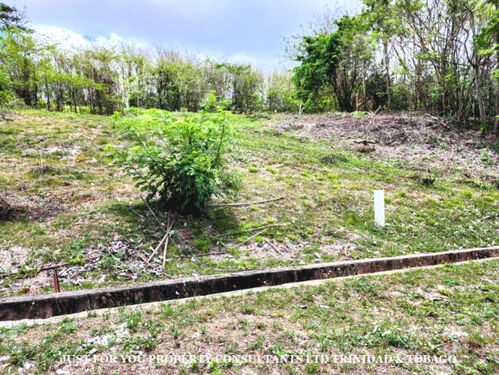 Land for Sale in Tobago 