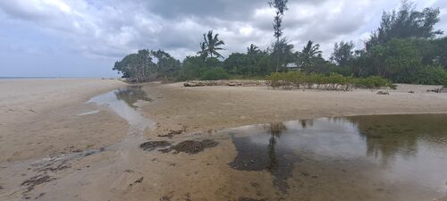 Low Tide Beach