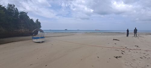 Low Tide Beach 