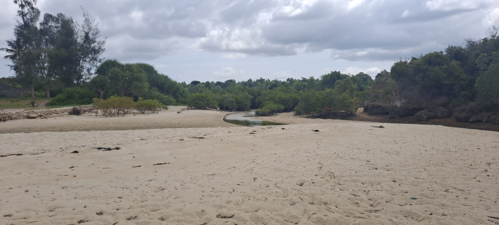 Low Tide Beach