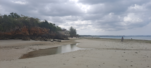 Beach Front / Cliff Top