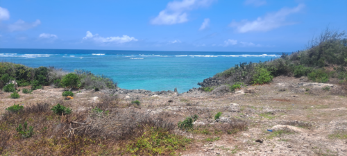 Beachfront | Cliff Top