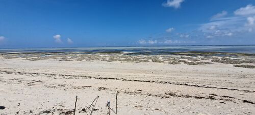 Beachfront