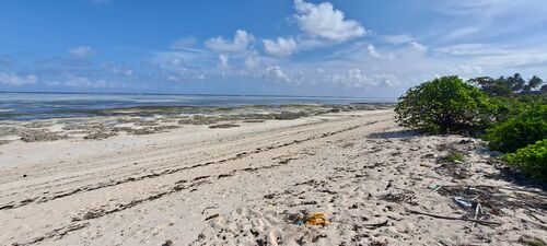 Beach Front