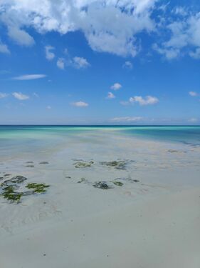 Beach Front