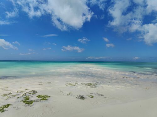 Beach Front