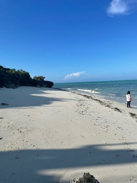 Beach Front