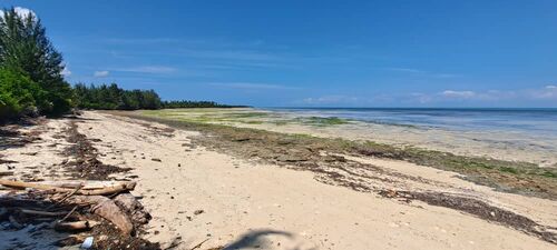 Beachfront