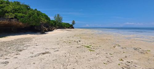 Beachfront