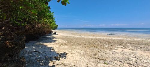 Beachfront