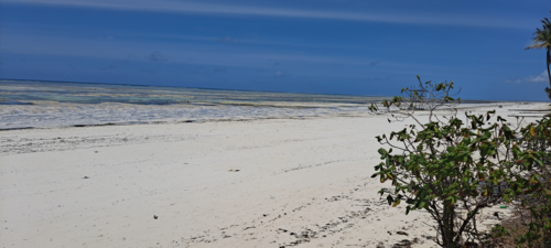 Beachfront