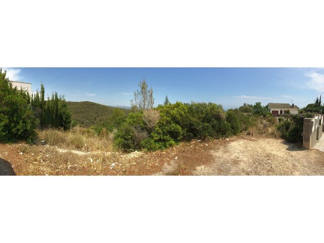 View from Carrer Escorpi