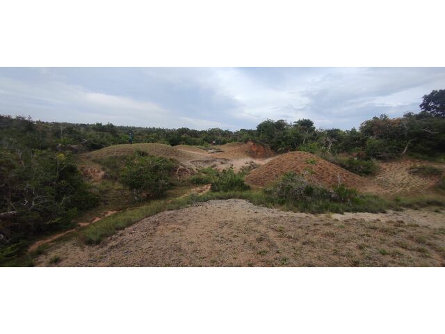 Jungle and Limestone Area