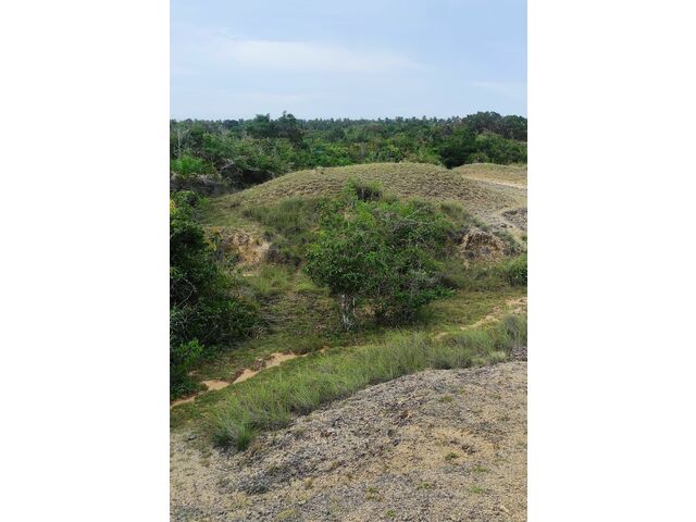 Jungle and Limestone Area