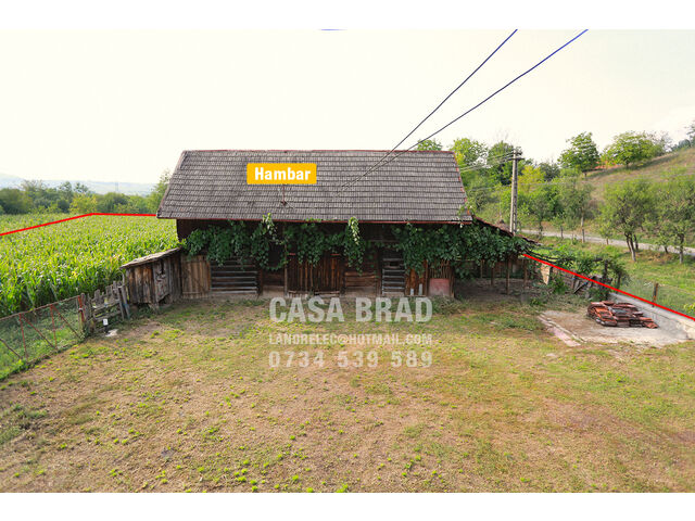 Barn with vines