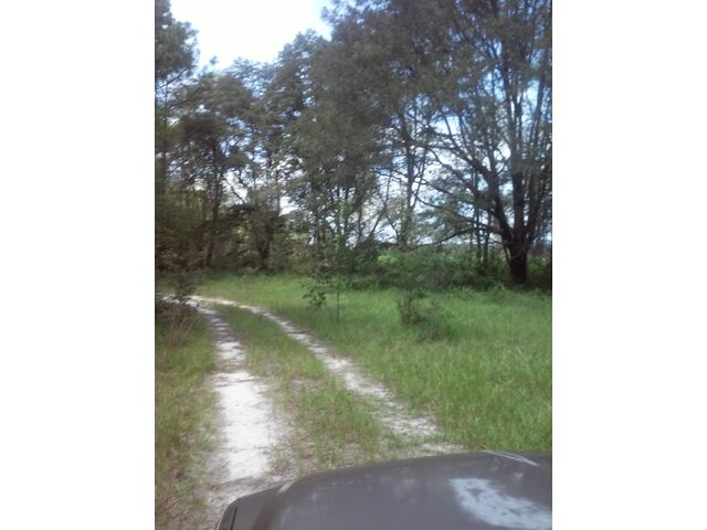 driveway inside property