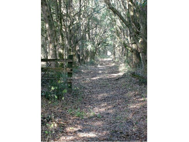 trail inside property