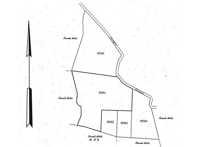 Site Diagram