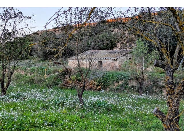 barn