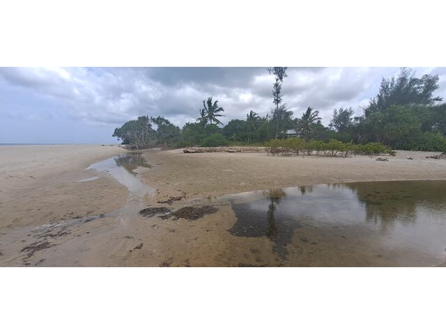 Low Tide Beach