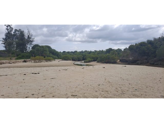 Low Tide Beach