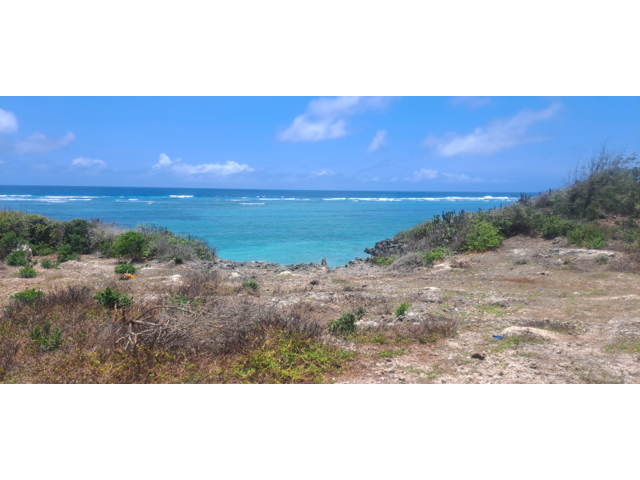 Beachfront | Cliff Top