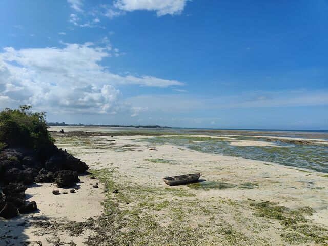 Beachfront