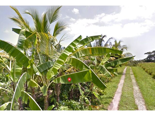 Balian Land